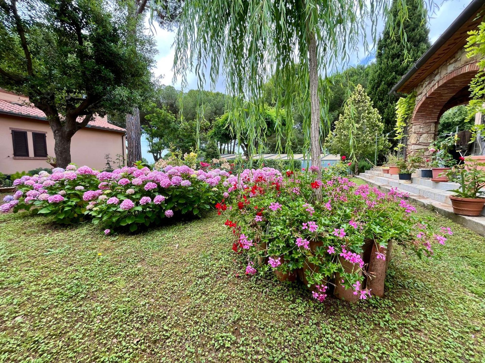 Vila La Rosa Dei Venti 'Scirocco' Casale Marittimo Exteriér fotografie